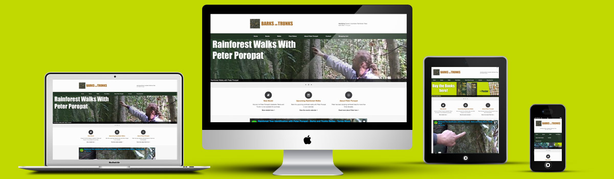 Responsive Webdesign und SEO für Selbstständige